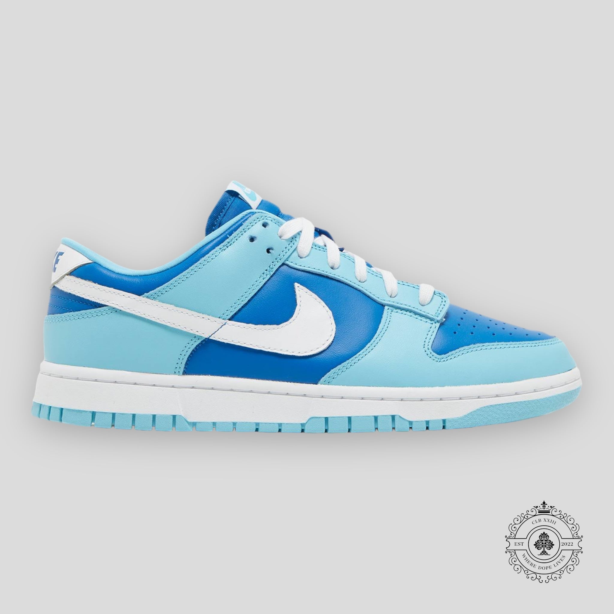 Nike Dunk Low Retro Argon